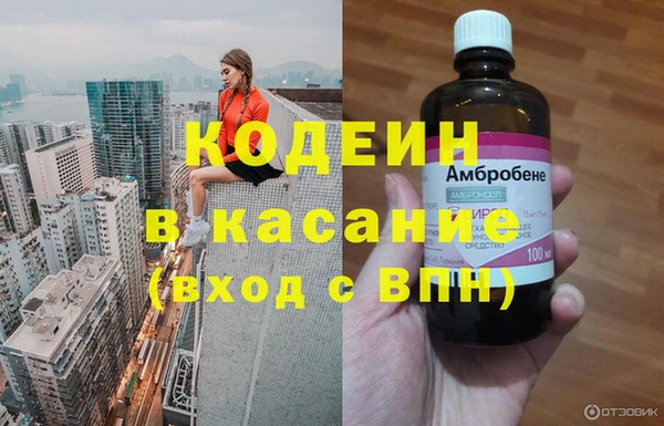 гашик Гусь-Хрустальный