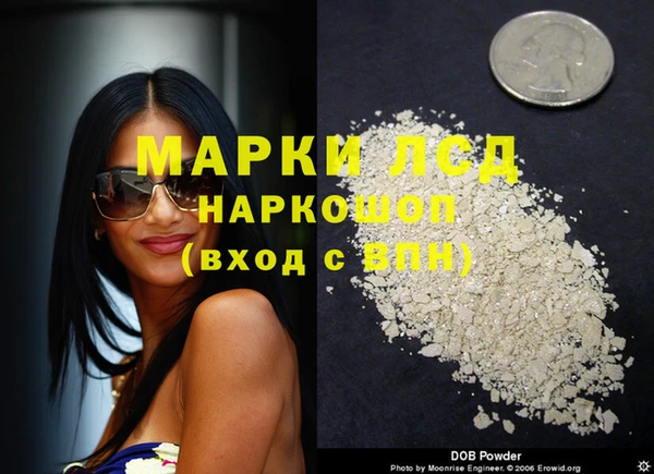 стаф Вязники