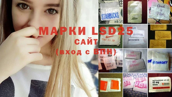 мдпв Горнозаводск