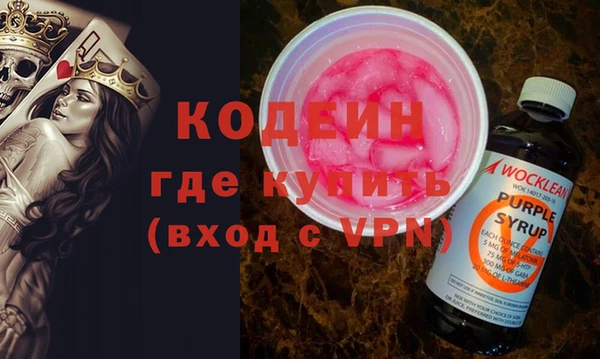 гашик Гусь-Хрустальный