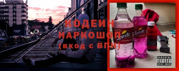 мдпв Горнозаводск