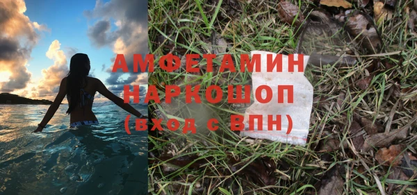 гашик Гусь-Хрустальный