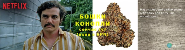 молекула духа Горно-Алтайск