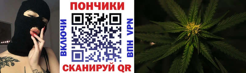Шишки марихуана сатива  Брянск 
